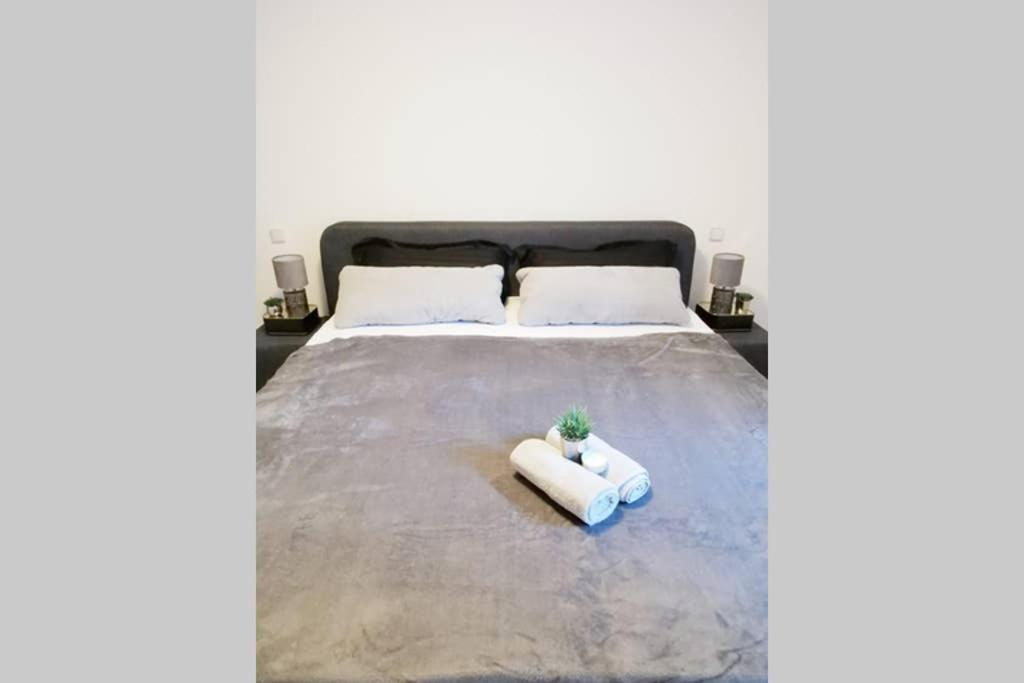 Rielasingen-Worblingen Ferienwohnung Rhode מראה חיצוני תמונה